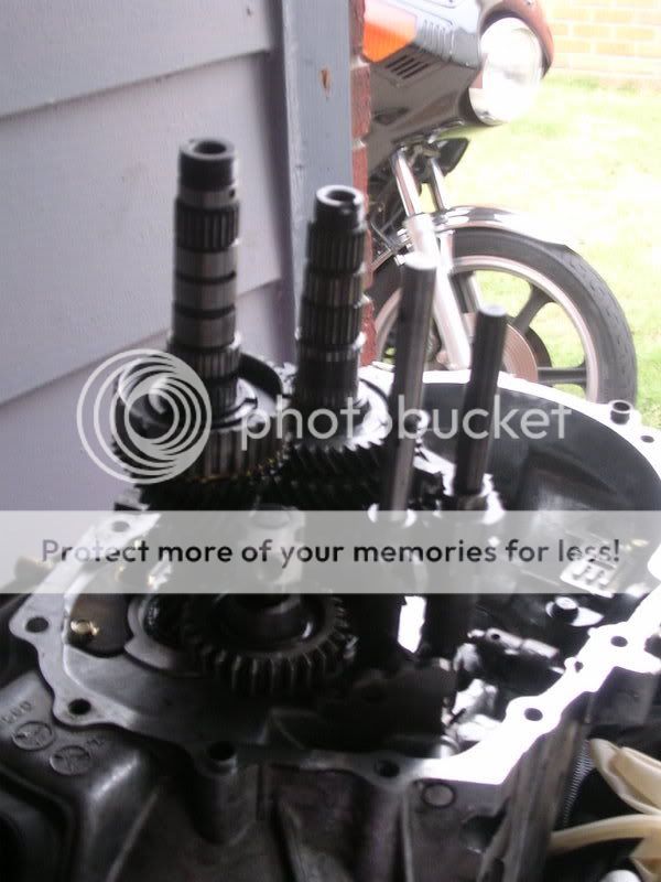 DSCN2107.jpg