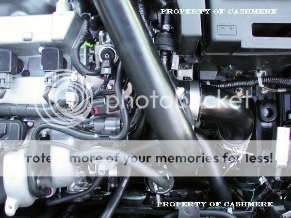 IMG_0044b.jpg