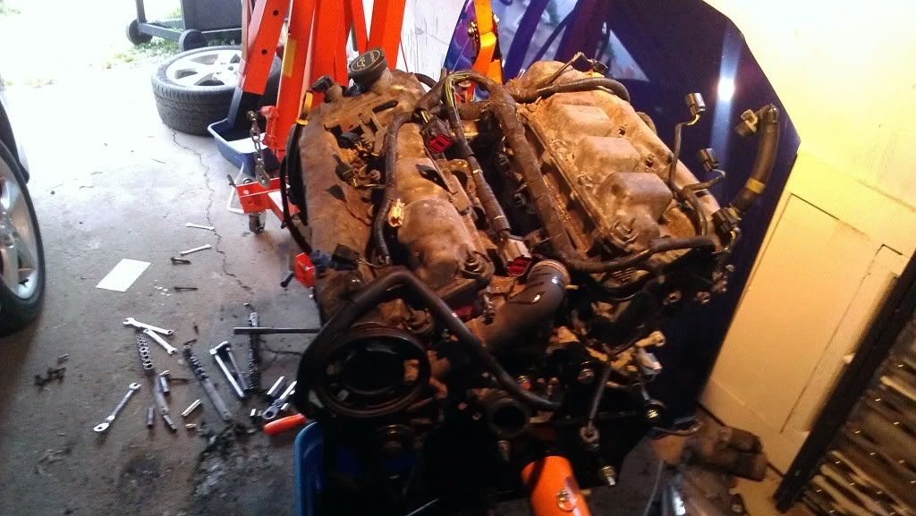 IMAG0136.jpg