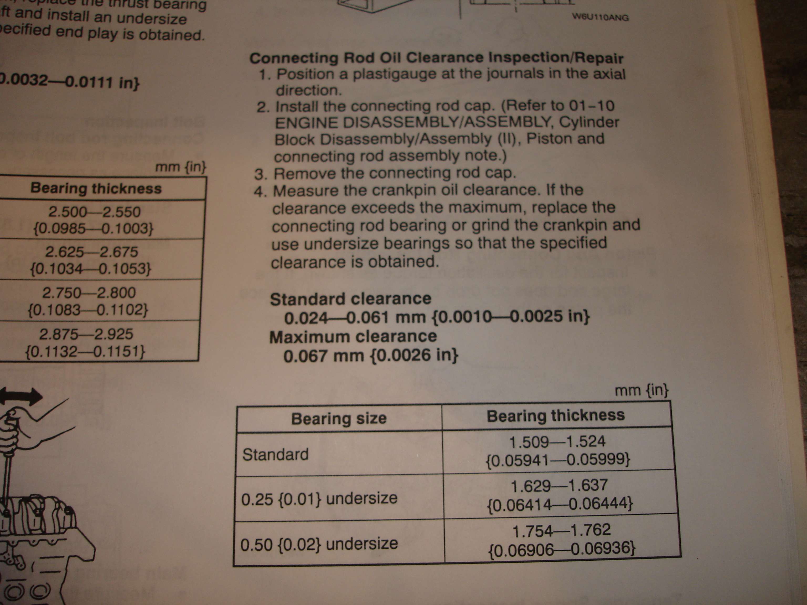 dsc06101b.jpg