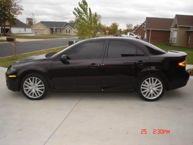 Picture002.jpg