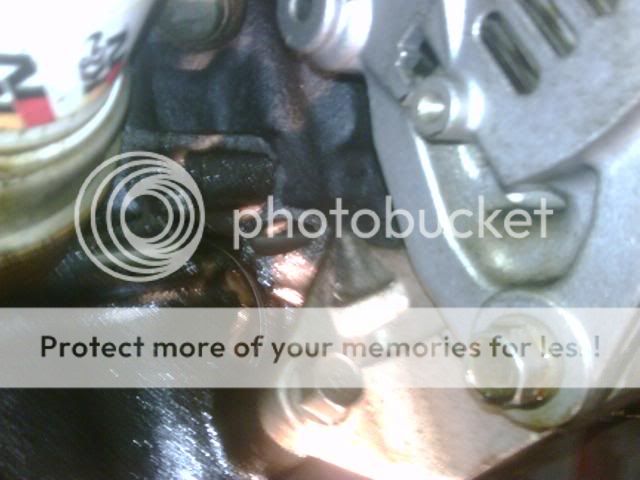 IMG00303-20090410-1229.jpg