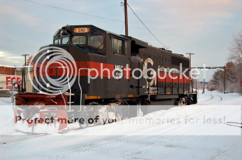 DSC_0530.jpg