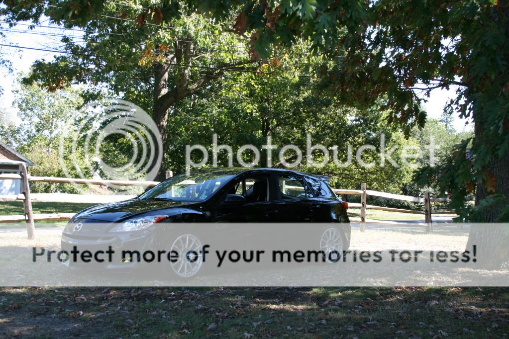 IMG_9177.jpg