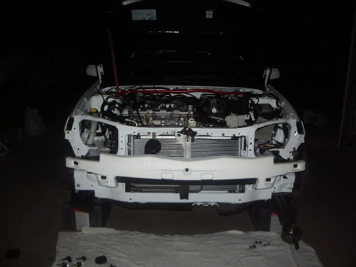 IMGP1130.jpg