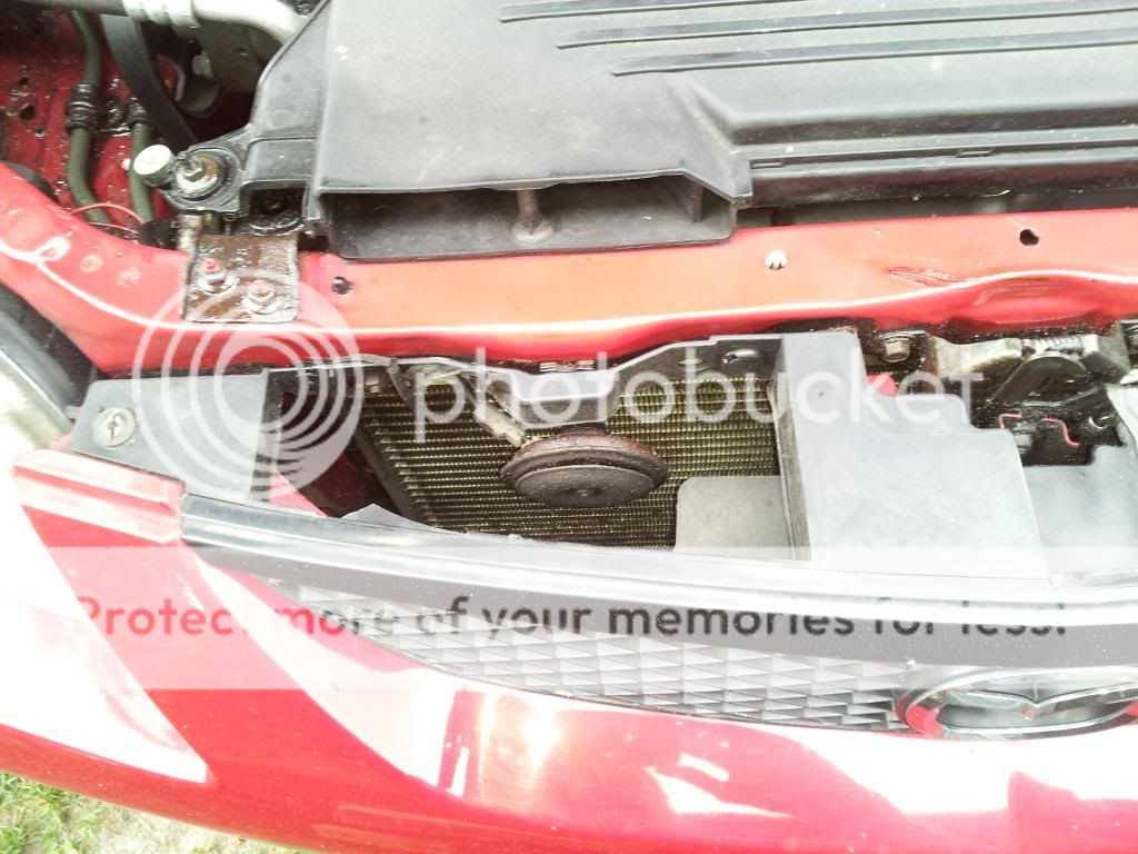 20130929_105347_zps8db0d6b2.jpg