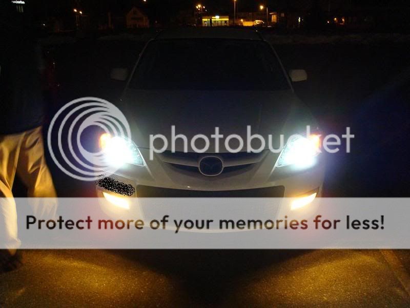 yellowfogs.jpg
