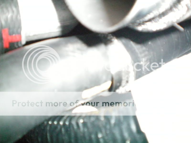 Copyof100_0295.jpg