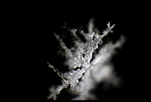 4254580673_40e7902347.jpg