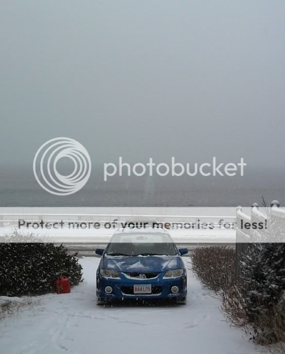 snowtege.jpg