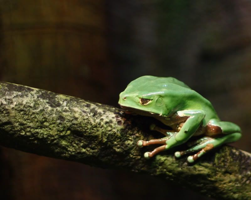 IMG_8060_edited-1.jpg