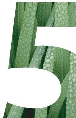 five.jpg