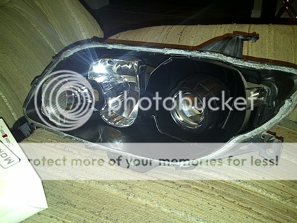 headlights.jpg