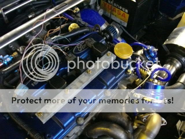 IMGP0928.jpg