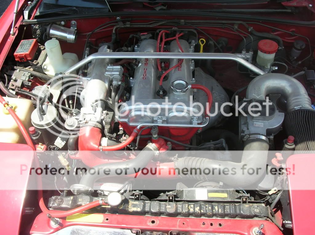 Closeup.jpg