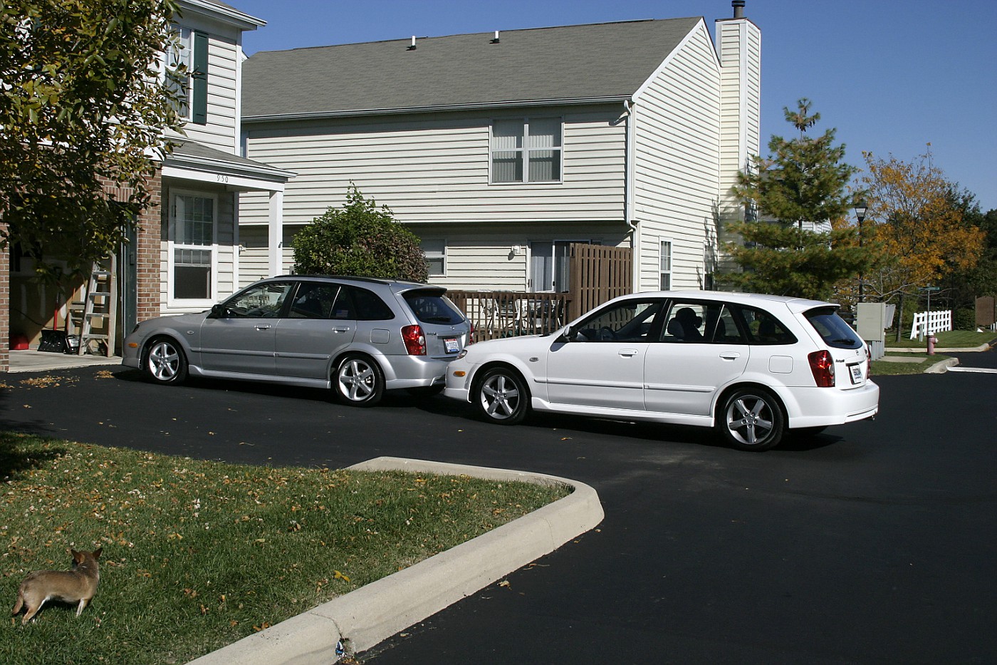 121_2150-vi.jpg