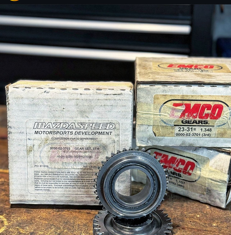 53772803783_d2e58ca162_c.jpg