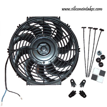 fan_picture.jpg