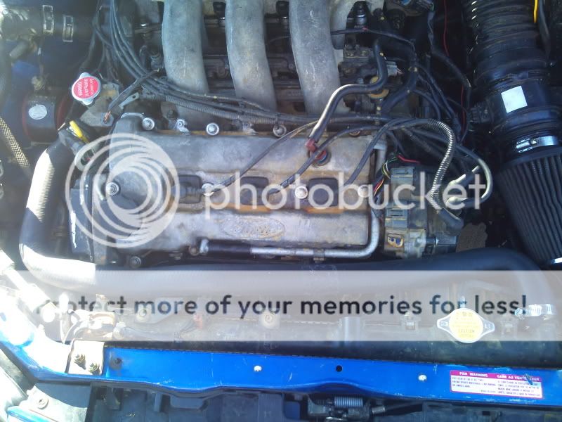 2011-10-31145659.jpg