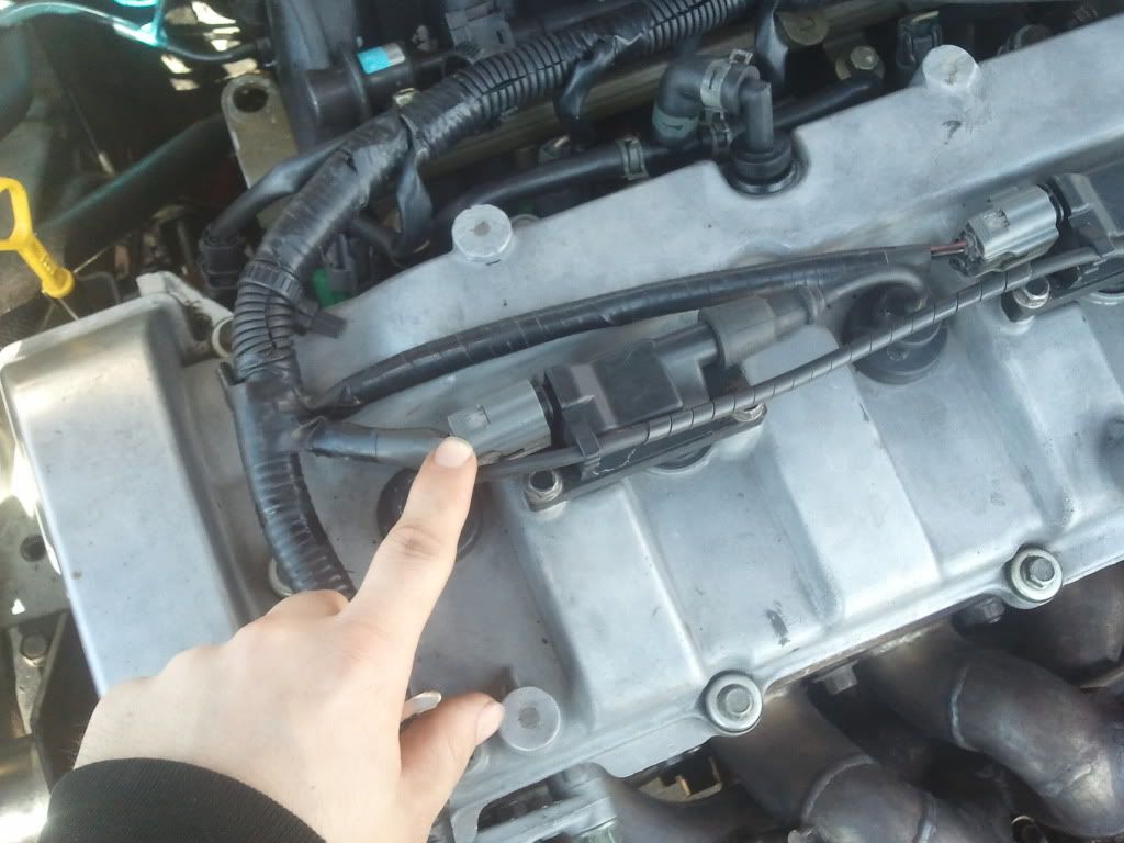 2012-02-16140923.jpg