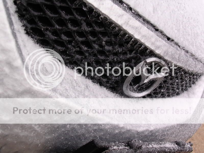 SnowMSP008.jpg