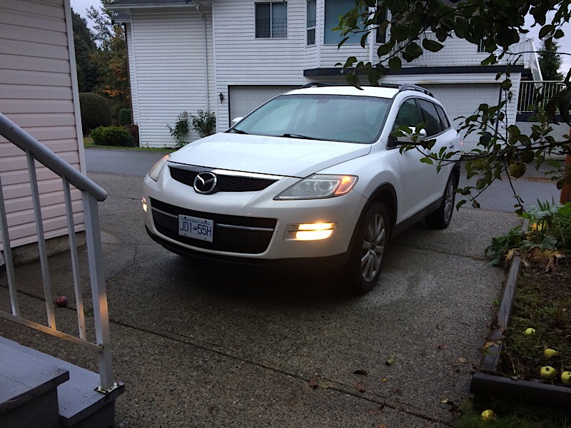Fog_Lights_011.JPG