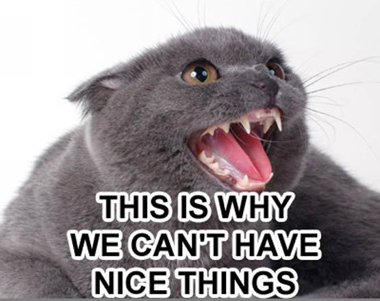 nicethings.jpg