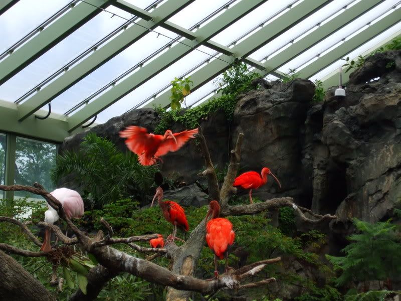 zooandparty097.jpg