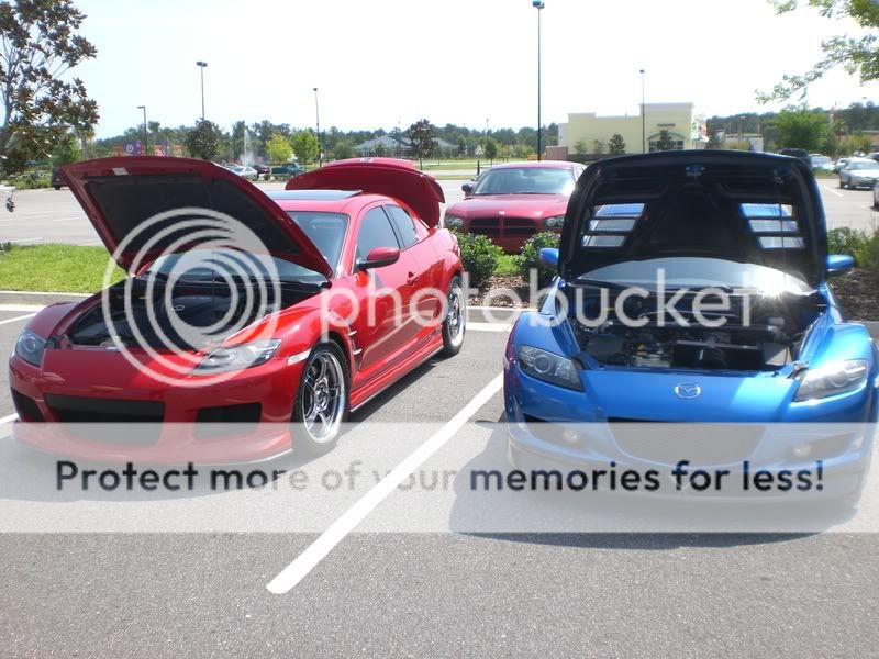 CIMG3098.jpg