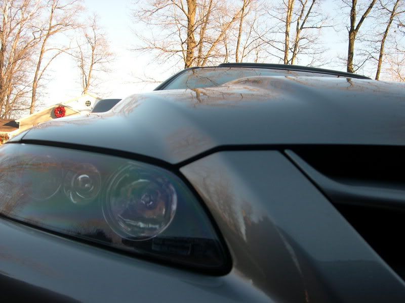 DSCN2318.jpg