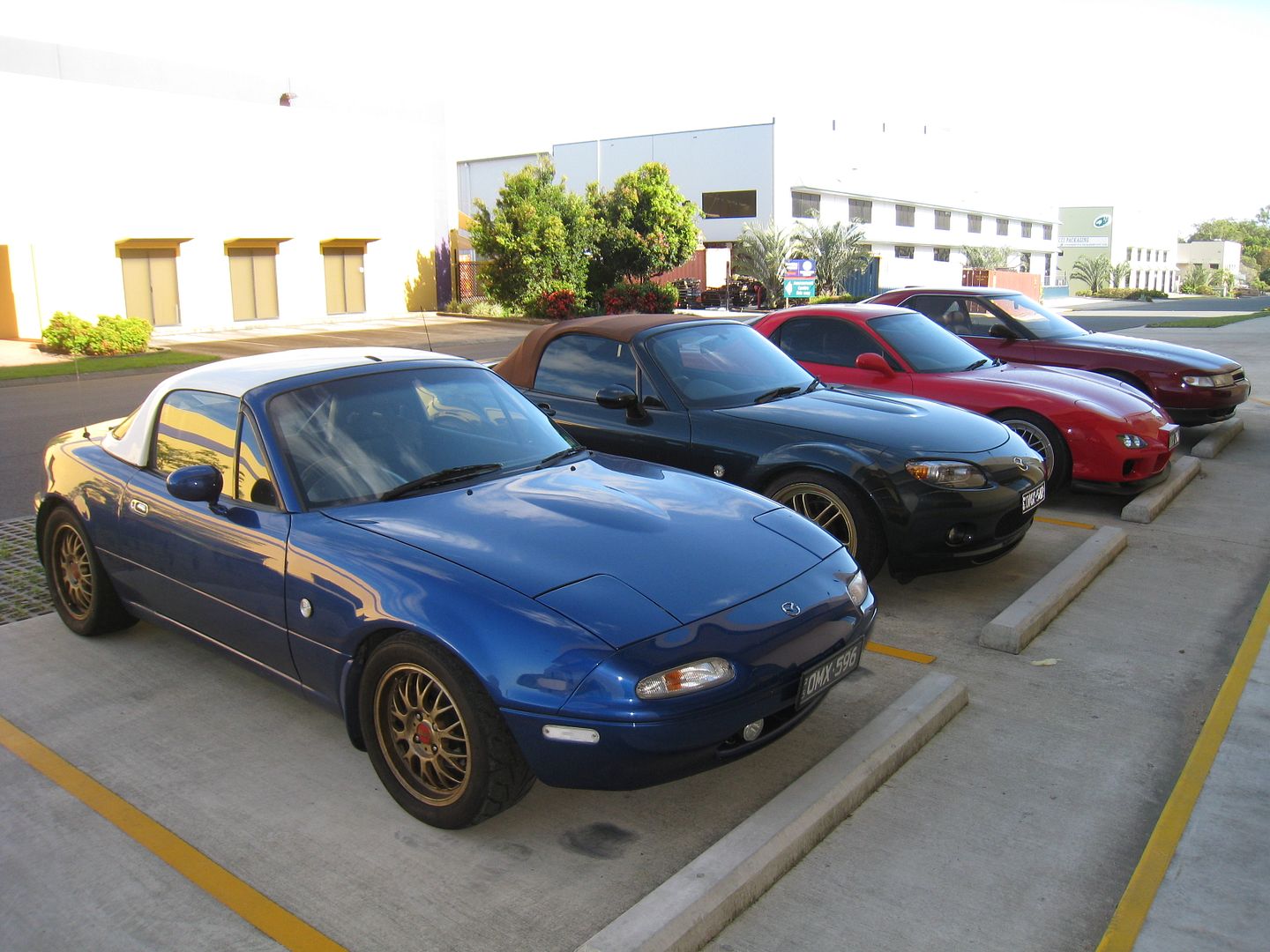 23-01-2011011.jpg