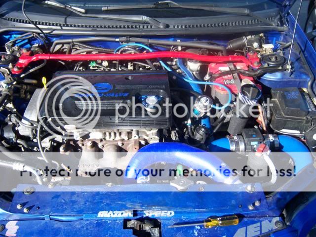 100_6237.jpg