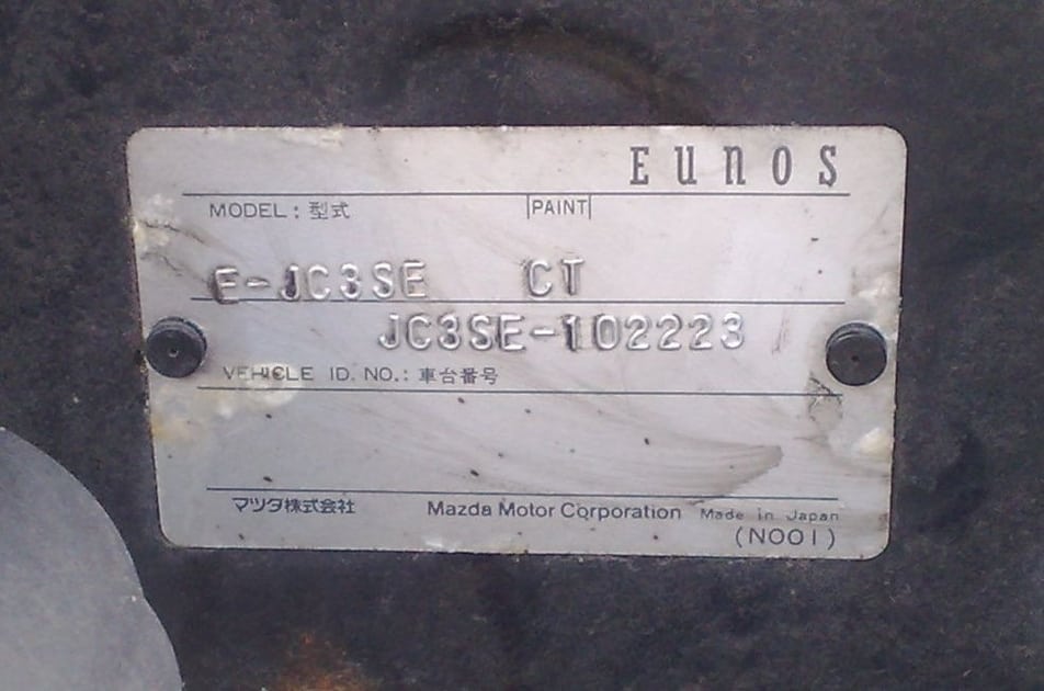 GroteFoto-BACIBANO.jpg