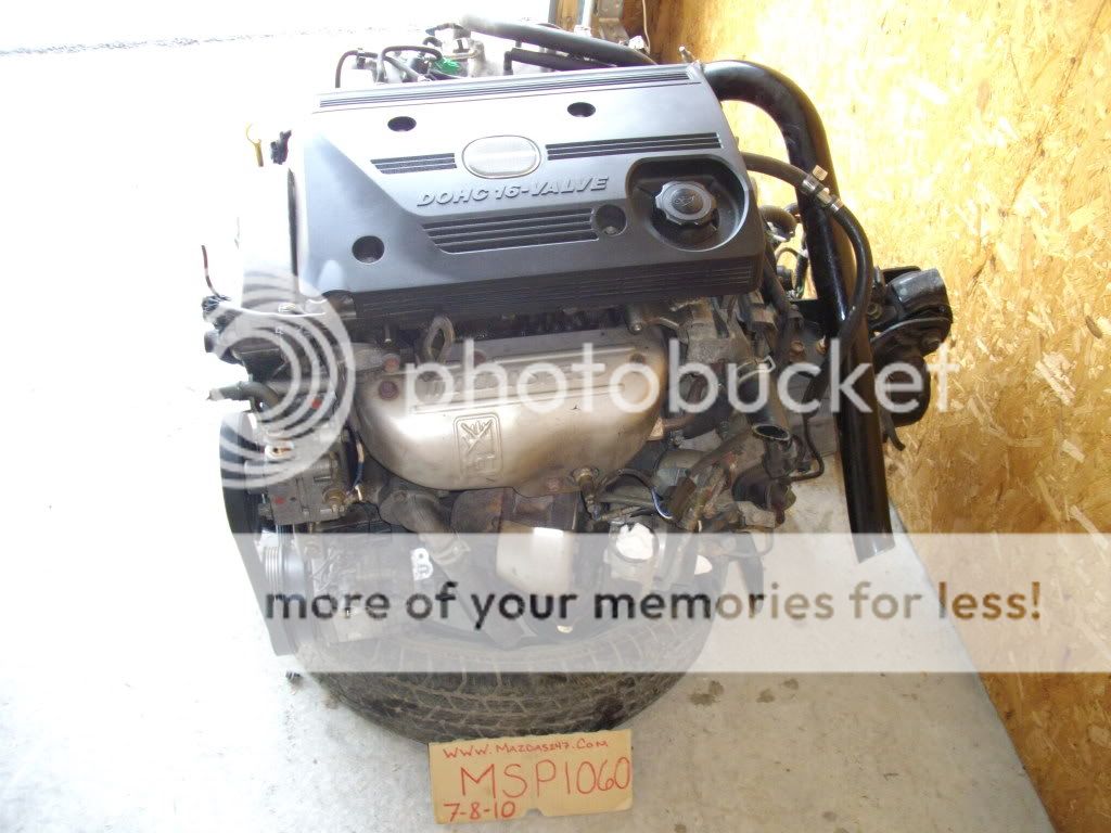 IMGP7136.jpg