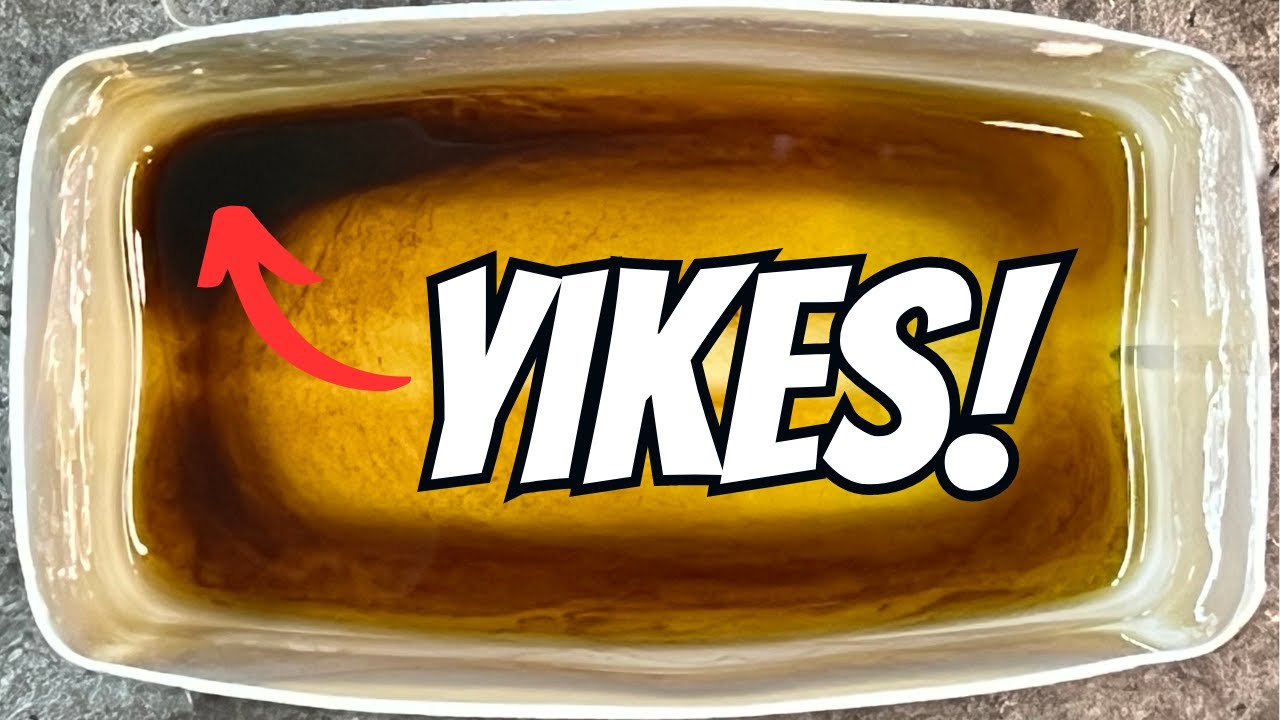 youtu.be