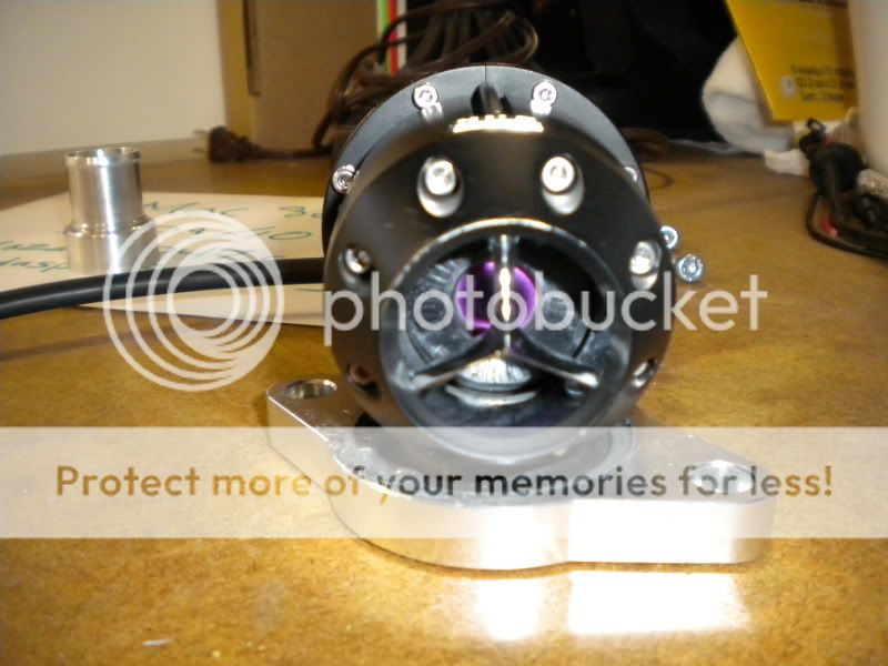 DSCN0199.jpg