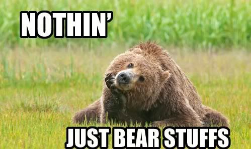 what-you-thinking-about-bear-stuff.jpg