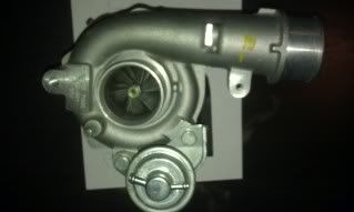 IMAG0104.jpg