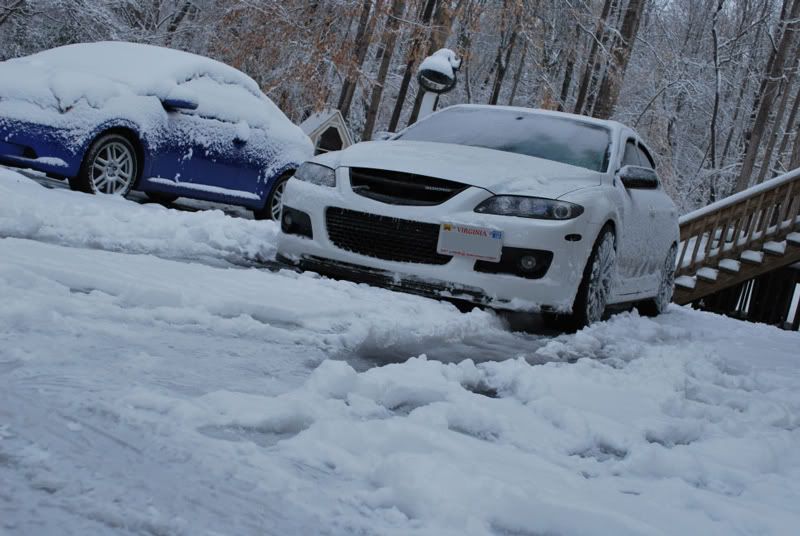 DSC_0188-1.jpg
