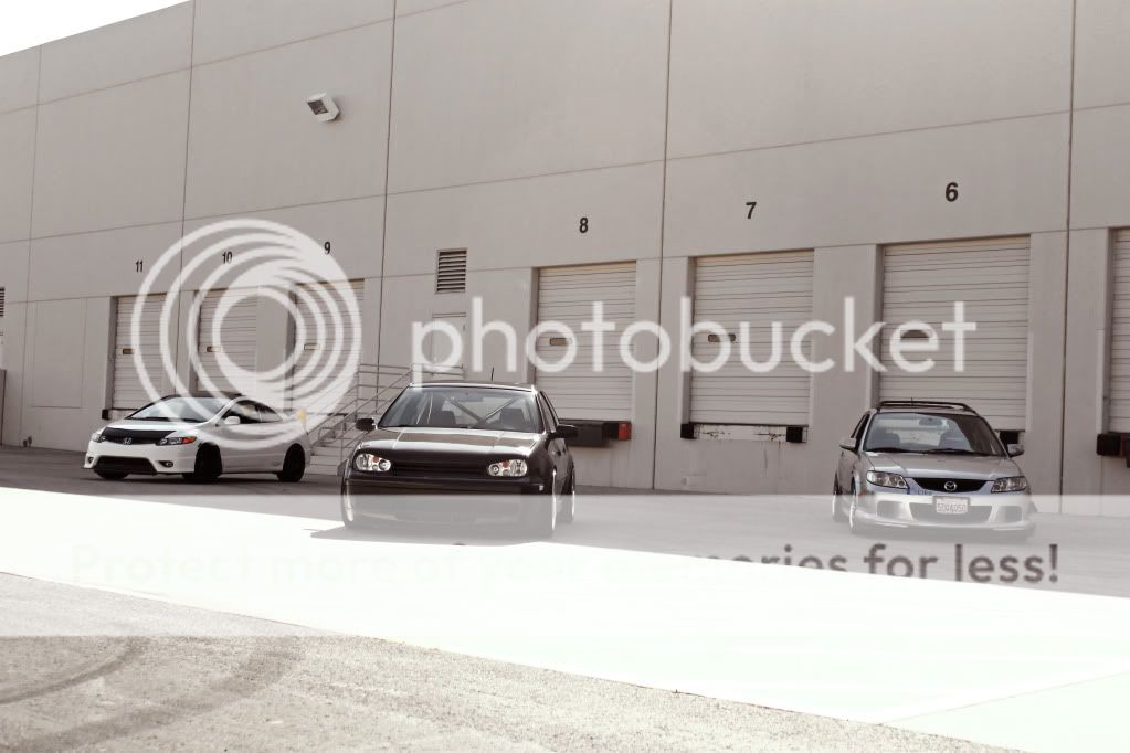 IMG_2883p.jpg