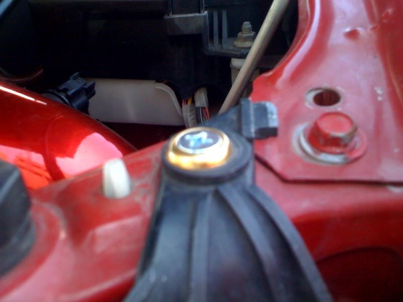 photo15.jpg