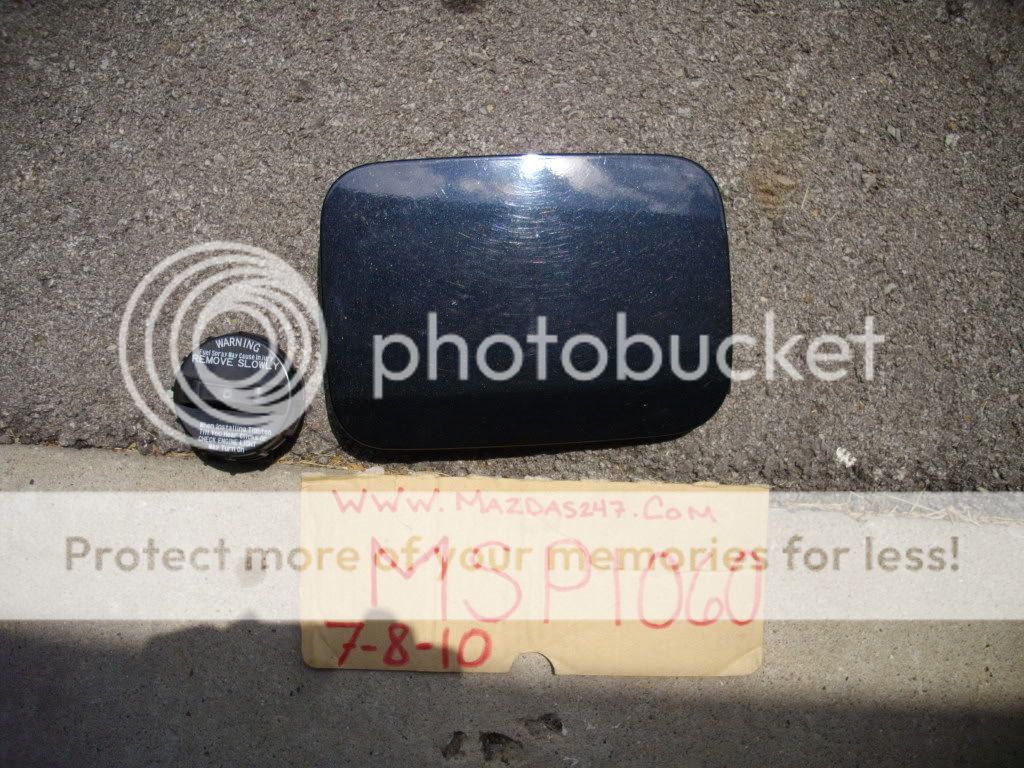 IMGP7111.jpg