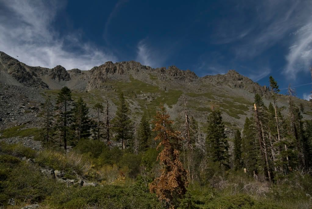DSC_0067.jpg