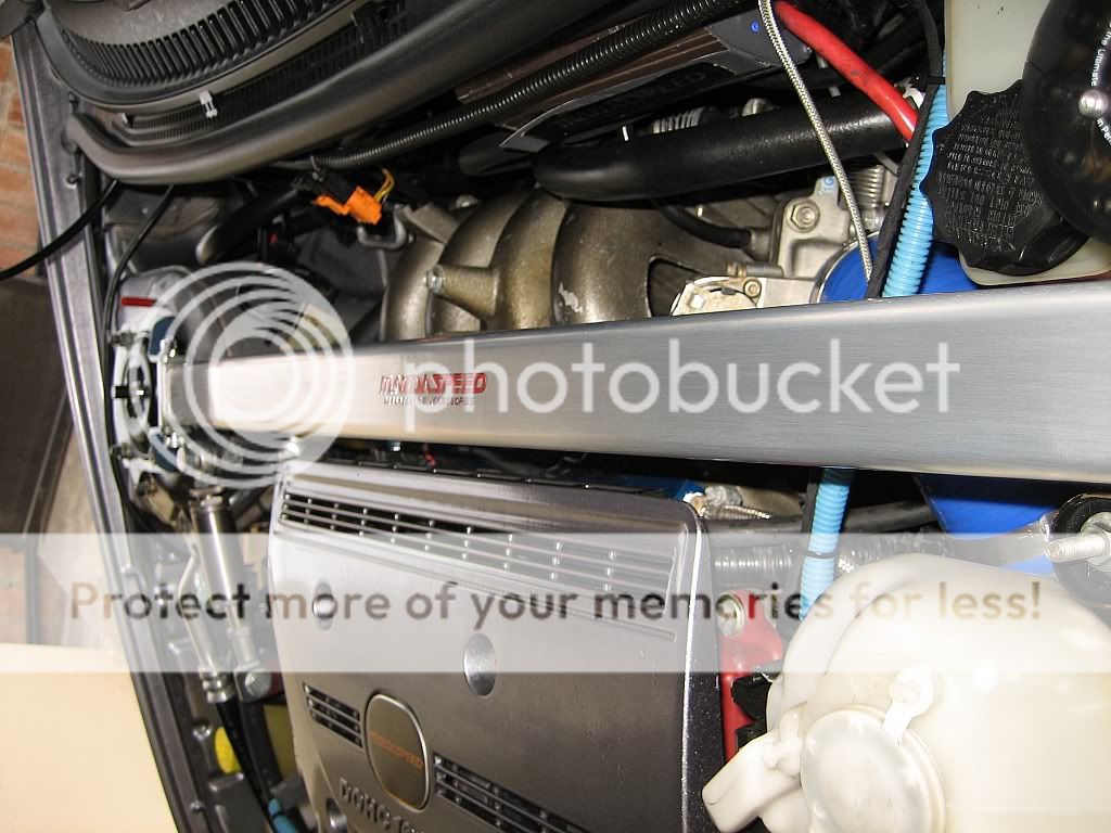 GTSpecRebadge3.jpg