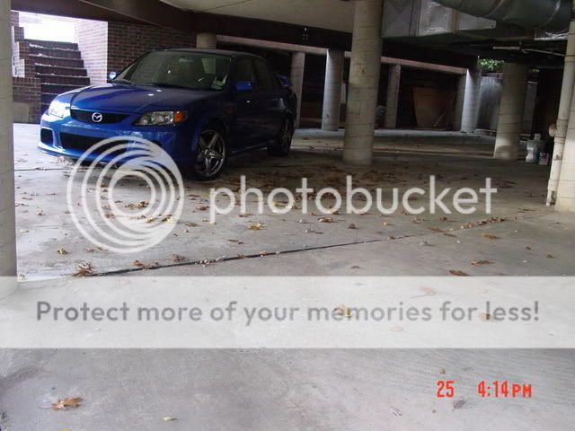 DSC02509.jpg