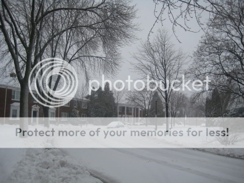 IMG_2980.jpg