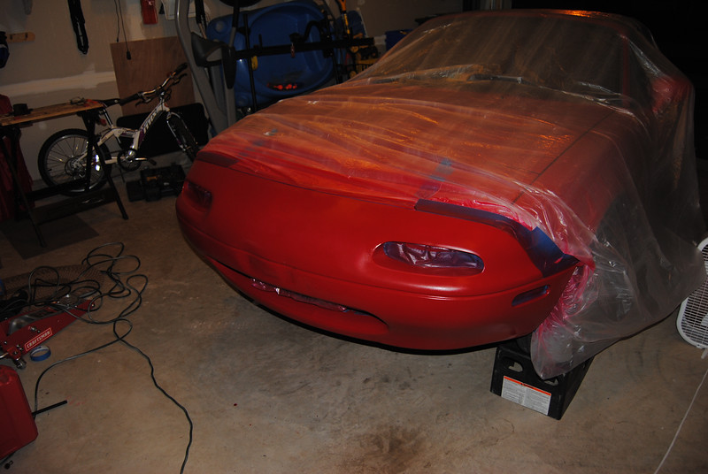 DSC_0482-L.jpg