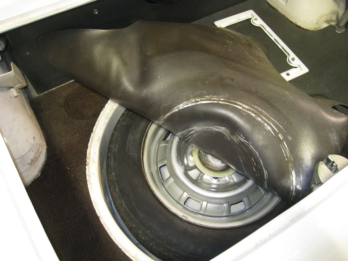 19-11-2009045.jpg