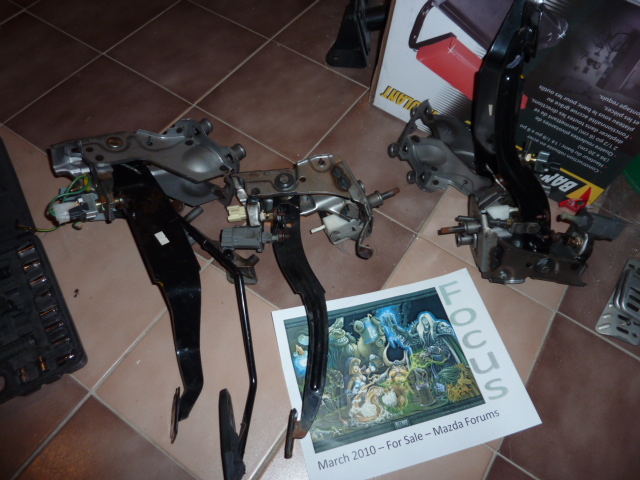 P1010184.JPG