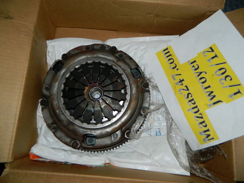 DSCN0373.jpg